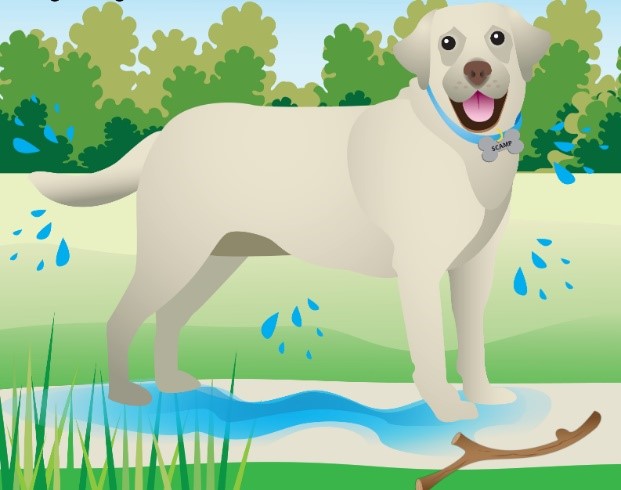 Cartoon image of a dog shaking off water