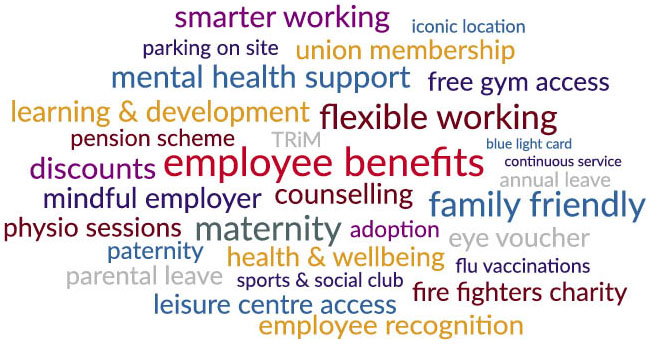 Employee Benefits word cloud