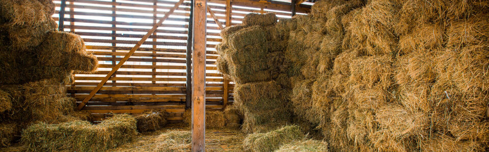Dry hay stacks in rural wooden barn interior on the farm