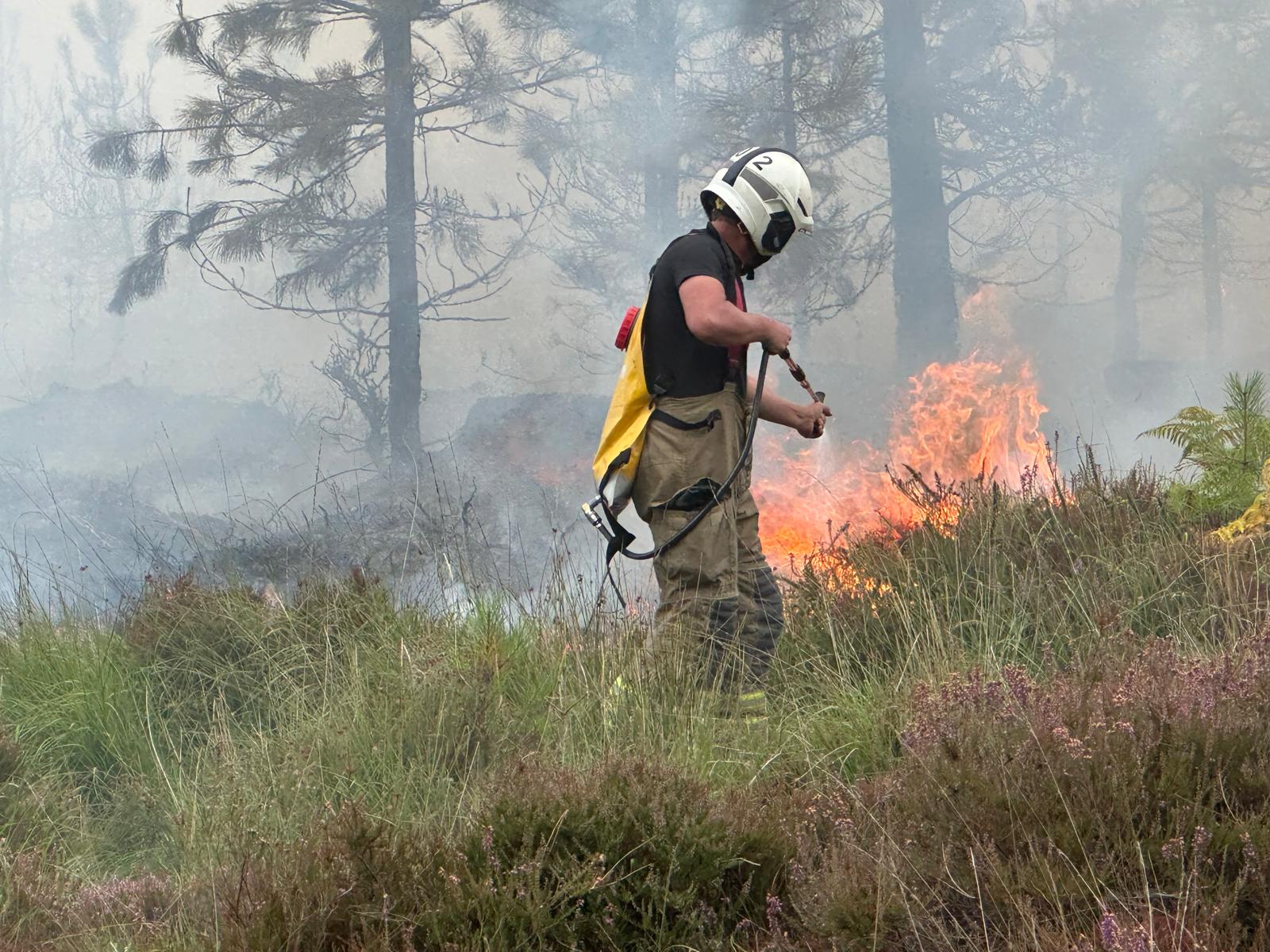 Firefighter in white helmet stood in front of heath fire using backpack of water to extinguish